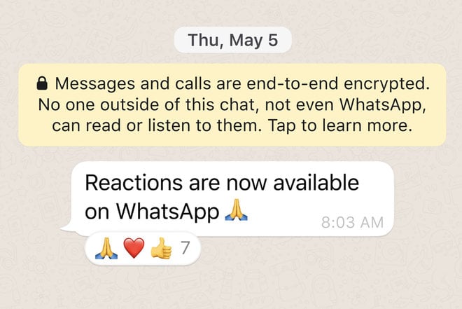 0-news-whatsapp-gets-emoji-reactions-here-s-which-ones-and-how-to-use-them-image1-uvvhissm7m.jpg